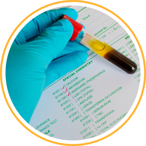 LabDx | Effective Lab Analysis Tool For Functional Medicine
