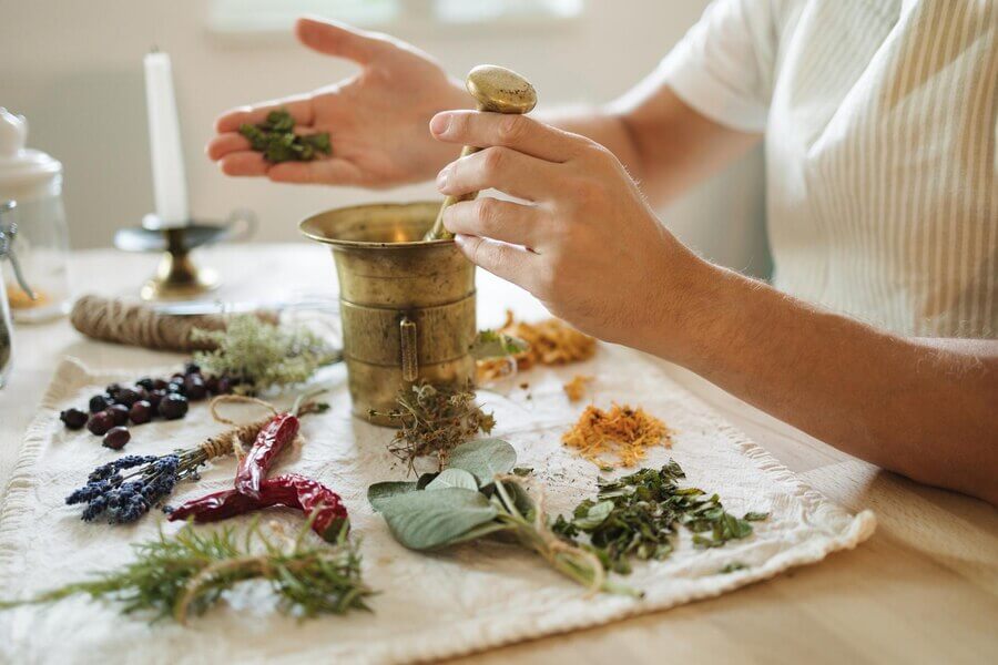 Secrets to Success with Holistic Medicine Certification
